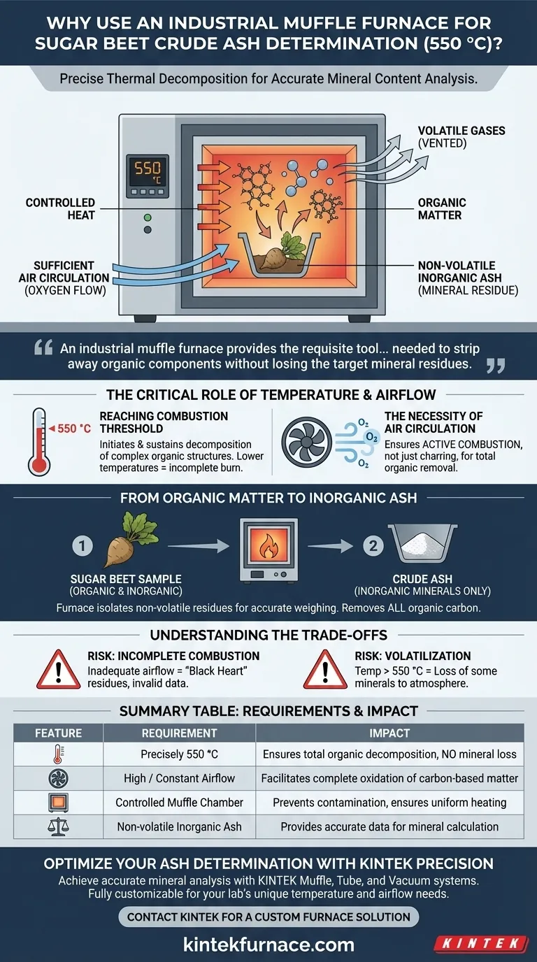 Why is an industrial muffle furnace required to process sugar beet samples at 550 °C for crude ash determination? Visual Guide