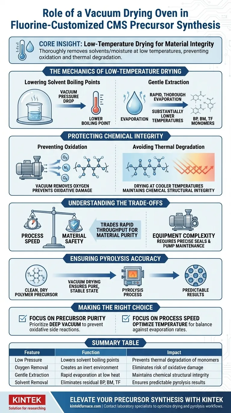 在CMS合成中，真空干燥箱的作用是什么？确保高纯度前驱体的完整性 图解指南