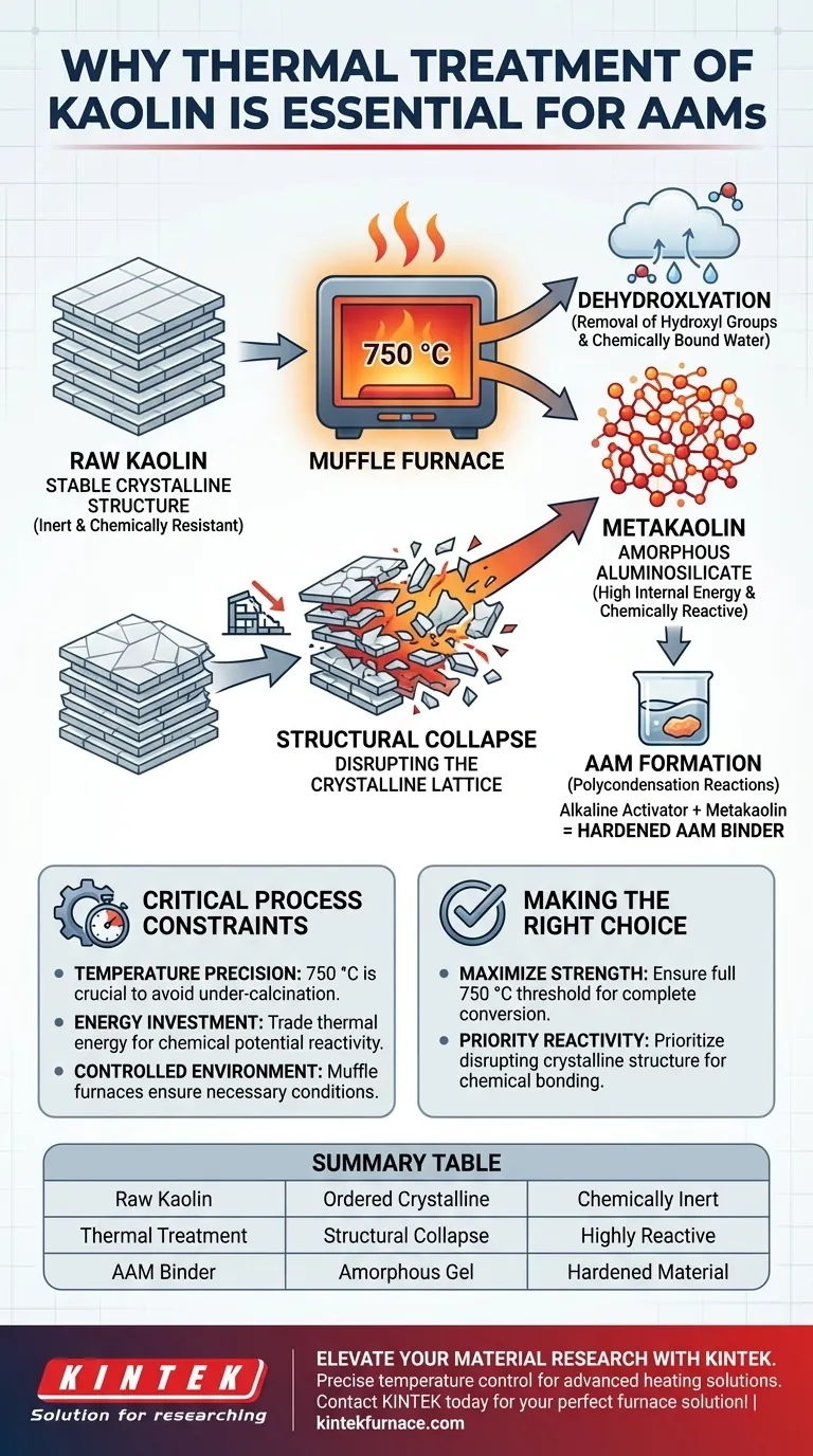 AAM 제조를 위해 카올린을 머플로에서 열처리해야 하는 이유는 무엇인가요? 고성능 바인더를 구현하세요 시각적 가이드
