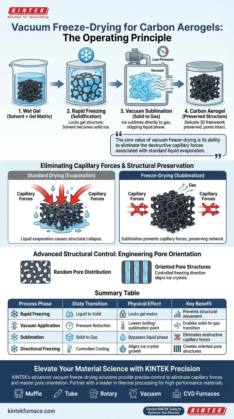 Was ist das Funktionsprinzip eines Vakuum-Gefriertrockners bei der Herstellung von Kohlenstoff-Aerogelen? Beherrschen Sie die Sublimation Visuelle Anleitung