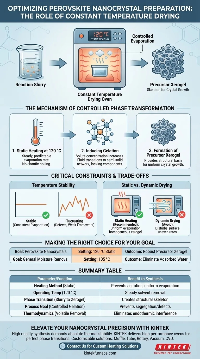 恒温干燥箱如何促进溶剂去除？优化钙钛矿纳米晶体合成 图解指南