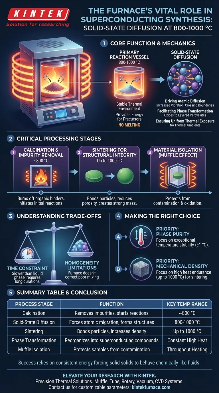 在超导材料合成中，马弗炉的核心功能是什么？掌握固相反应 图解指南