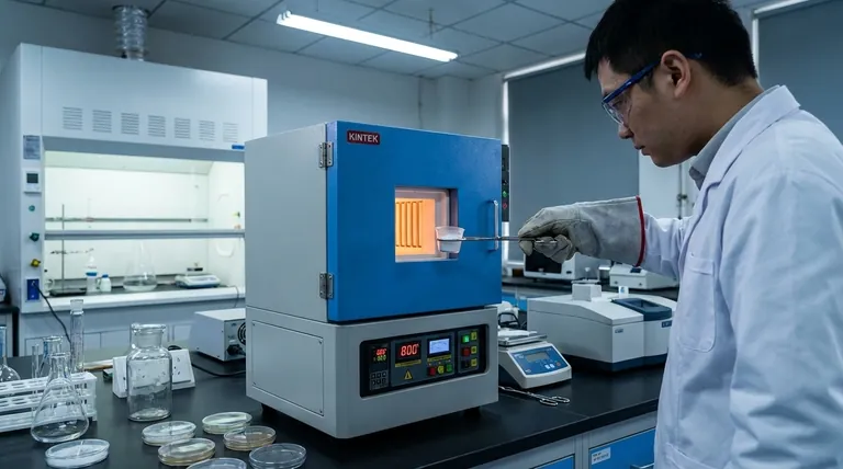 바륨 주석산염(BSO) 나노 분말에 머플로 퍼니스가 중요한 이유는 무엇인가요? 정확한 상 순도 달성