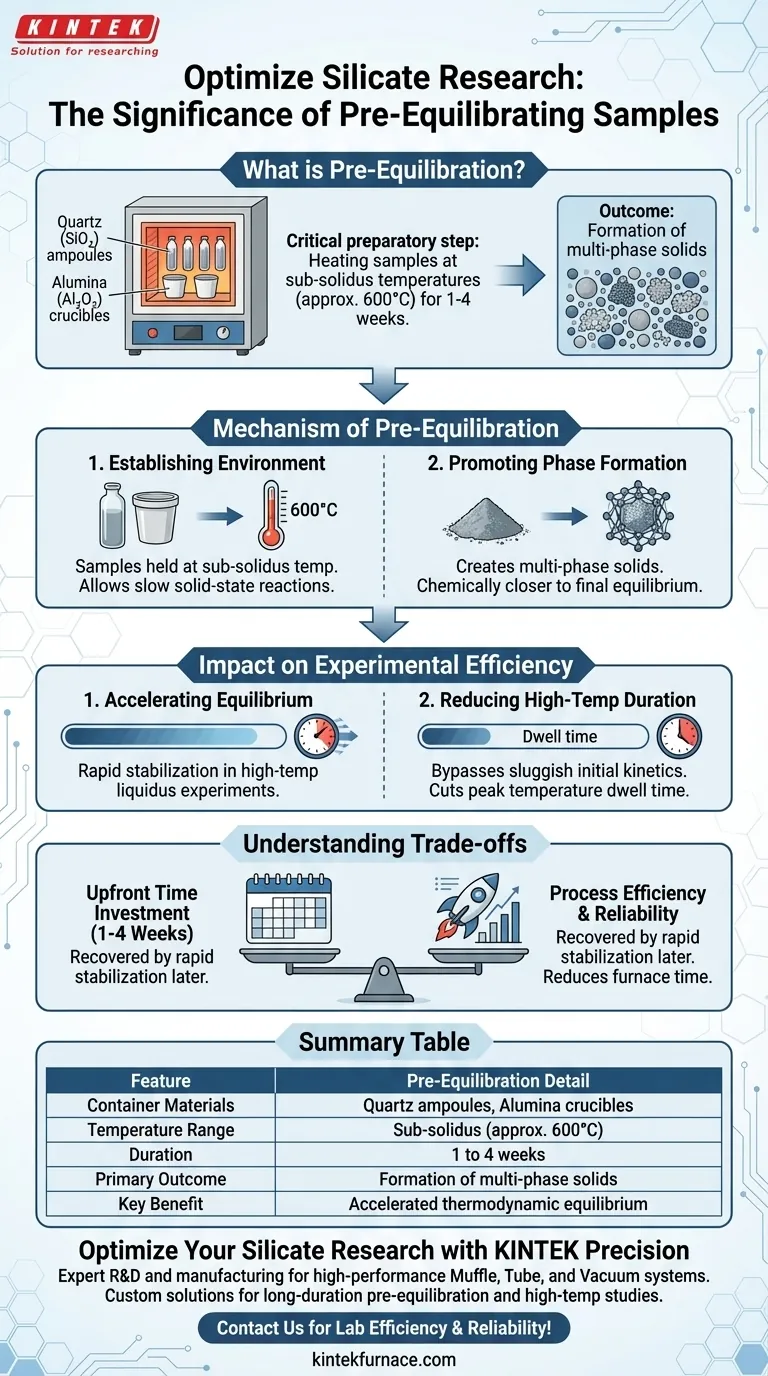 Qual é a importância da pré-equilíbrio de amostras em estudos de silicatos? Maximizando a Eficiência Experimental Guia Visual