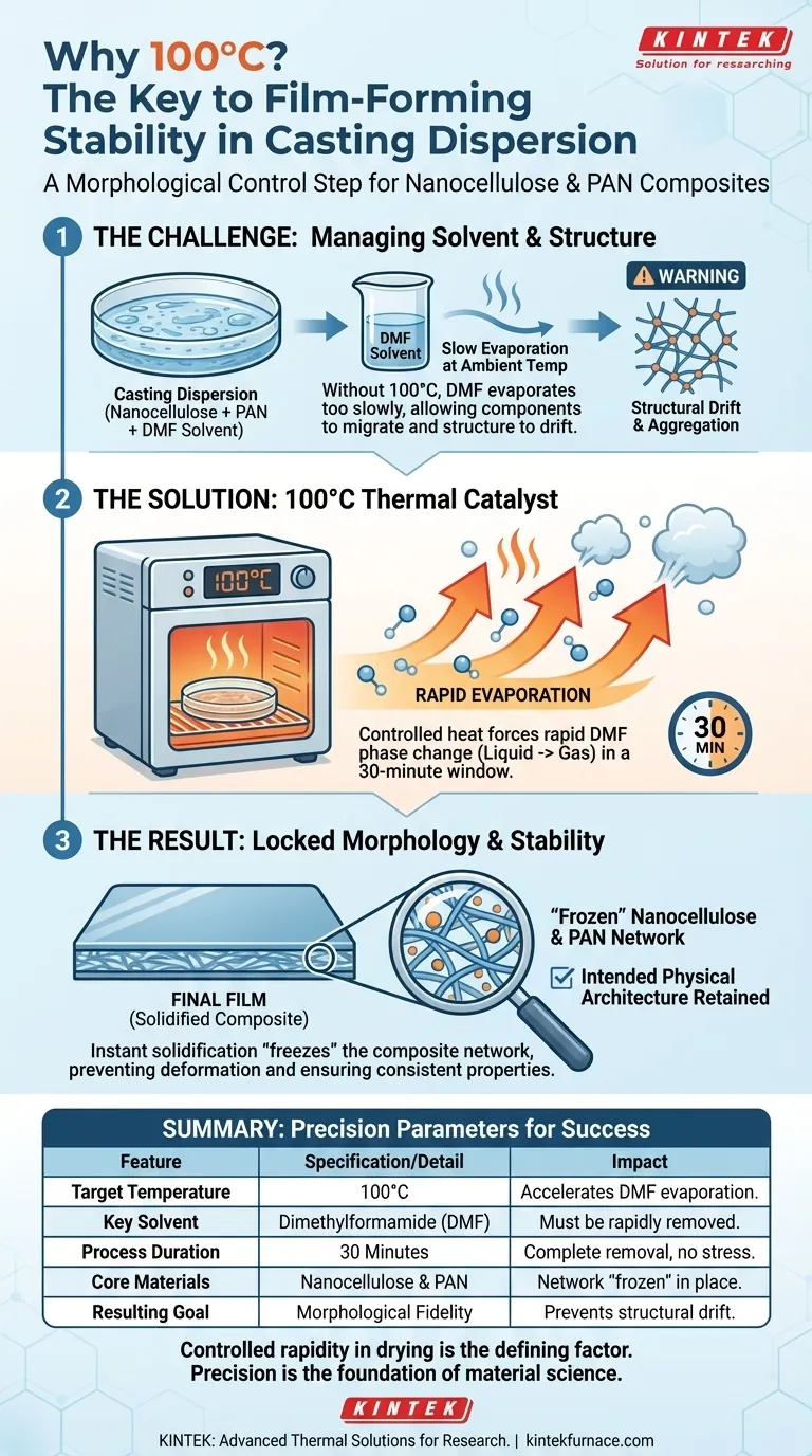 为什么必须在 100°C 的烘箱中处理浇铸分散液？确保完美的薄膜形态 图解指南