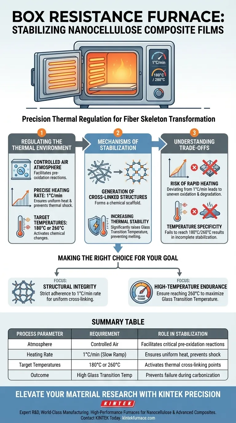 セルロースナノファイバーフィルムのボックス型抵抗炉の機能とは？より良いフィルムのための安定化フェーズをマスターする ビジュアルガイド