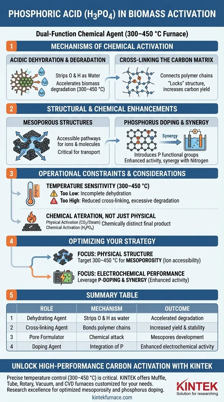 Qual papel químico o ácido fosfórico (H3PO4) desempenha na ativação da biomassa? Domine a Transformação de Materiais de Carbono Guia Visual