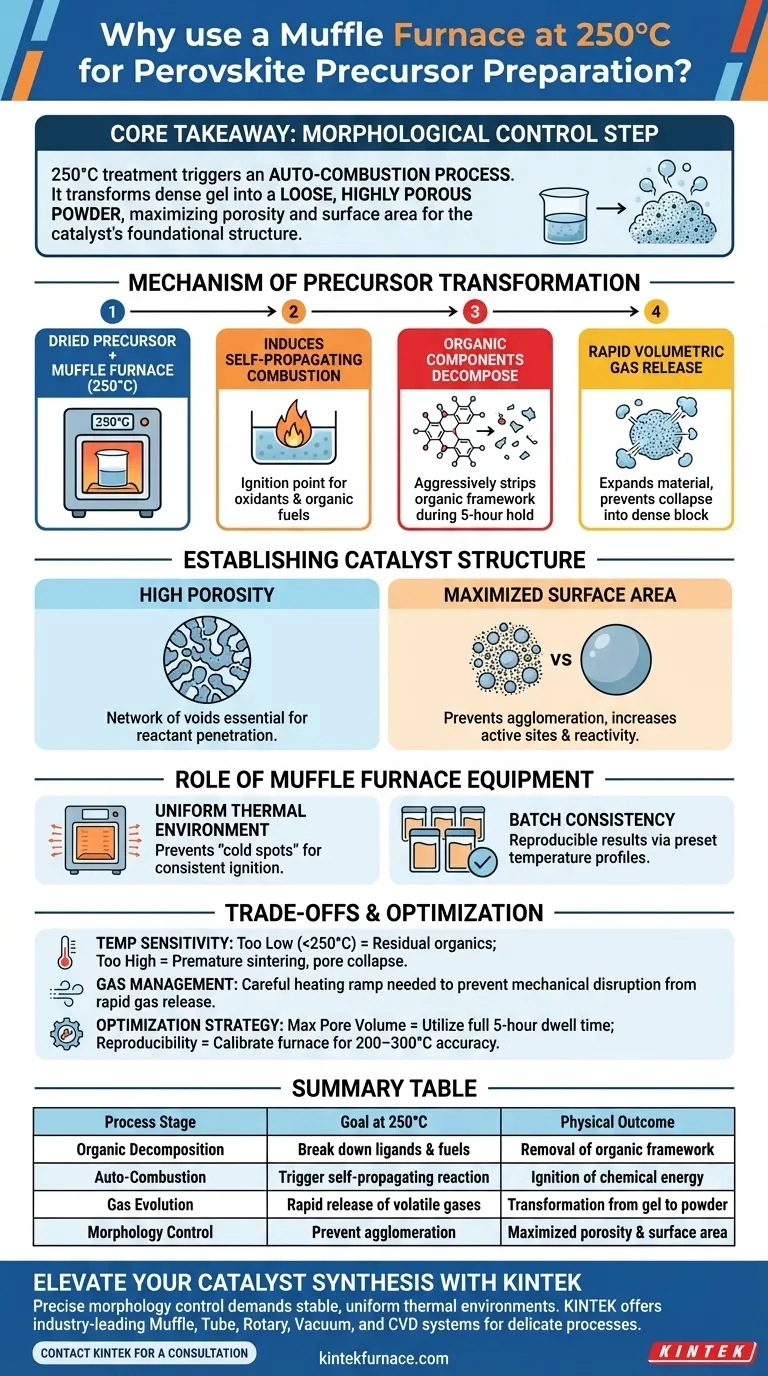 ¿Por qué se utiliza un horno mufla para el tratamiento térmico primario a 250 °C? Optimice la estructura de su catalizador de perovskita Guía Visual