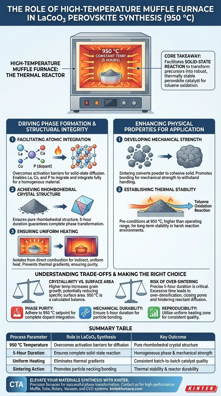 Qual o papel de um forno mufla de alta temperatura na sinterização de LaCoO3? Otimizando a Formação da Fase Perovskita Guia Visual