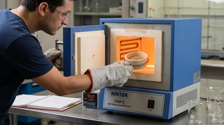 Qual o papel de um forno mufla de alta temperatura na sinterização de LaCoO3? Otimizando a Formação da Fase Perovskita