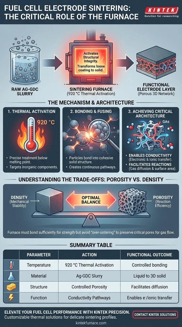 烧结炉在燃料电池生产中起什么作用？实现最佳电极完整性 图解指南