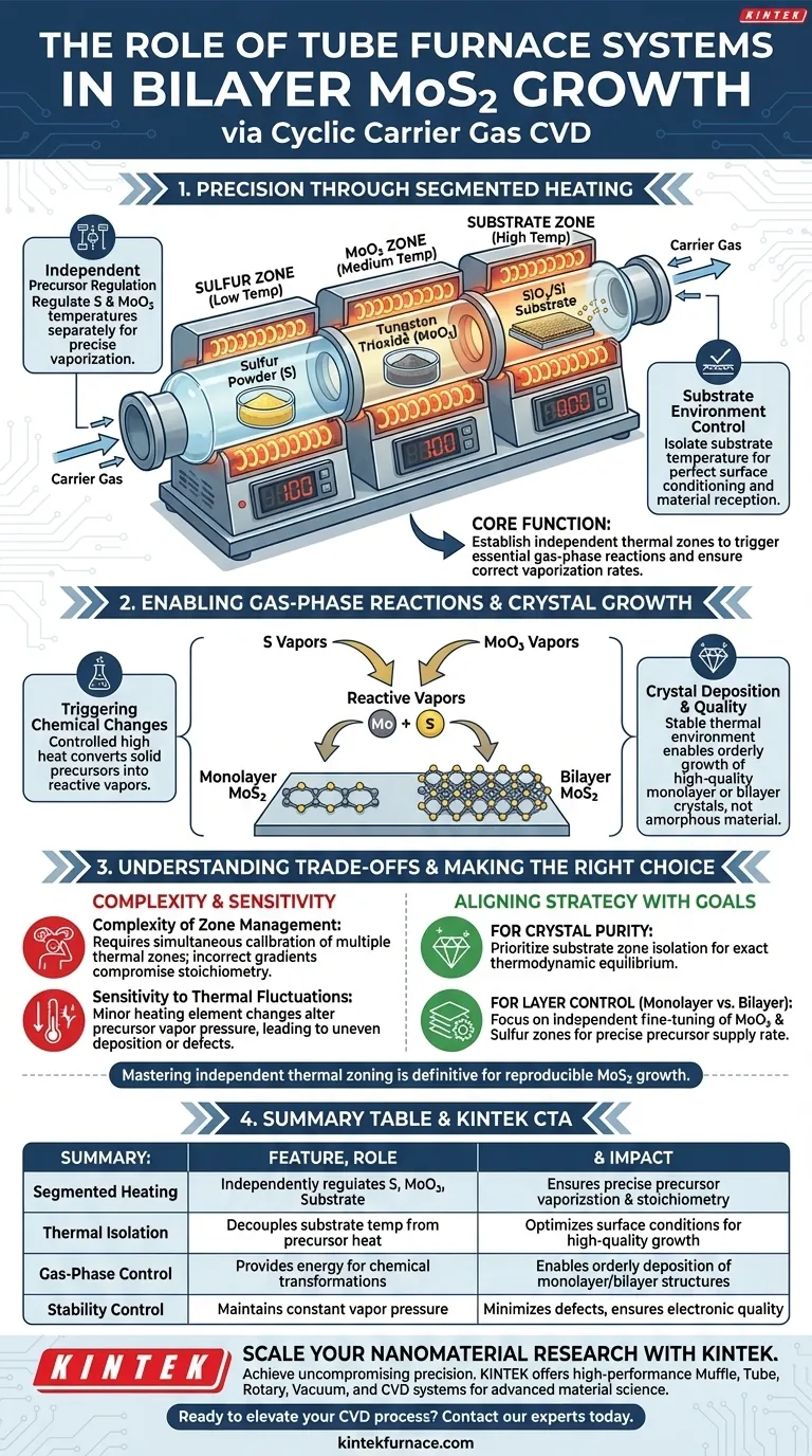Какова роль системы трубчатой печи в росте двуслойного MoS2? Освойте синтез CVD с точным контролем Визуальное руководство
