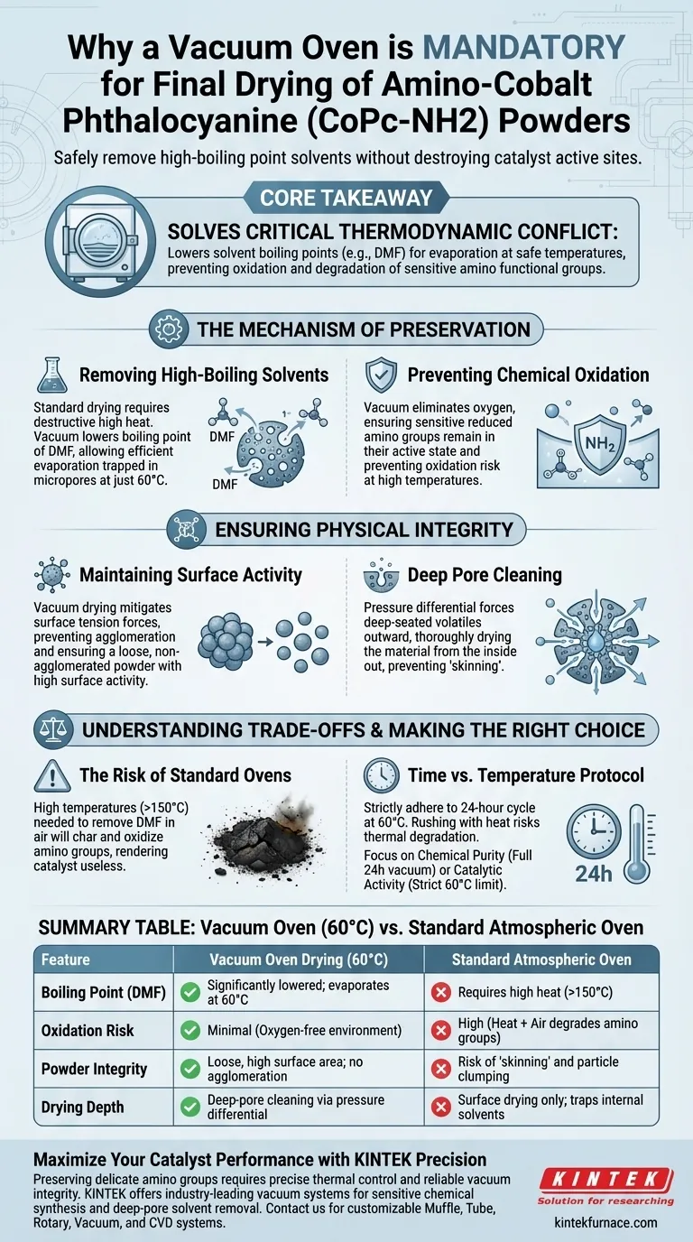 为什么真空烘箱对于干燥 CoPc-NH2 粉末是必需的？保护催化剂的纯度和活性位点 图解指南