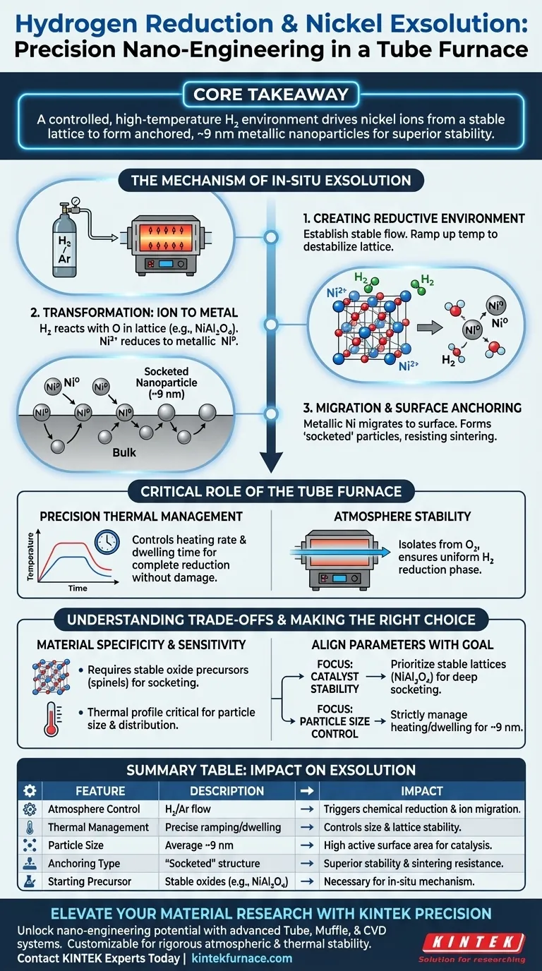 실험실 튜브 퍼니스에서의 수소 환원 공정이 니켈 종의 석출을 어떻게 촉진합니까? 시각적 가이드