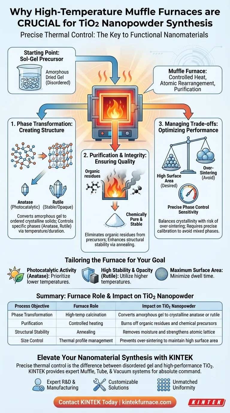 为什么使用马弗炉进行 TiO2 溶胶-凝胶？实现精确的相控和纯度 图解指南
