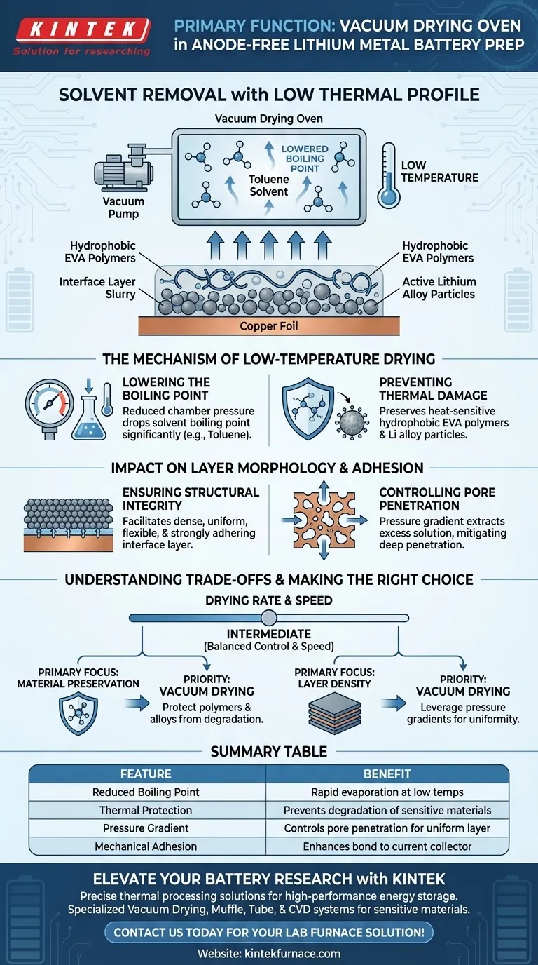 Was ist die Hauptfunktion eines Vakuumtrockenschranks bei der Herstellung von anodenfreien Batterien? Expert Lab Solutions Visuelle Anleitung