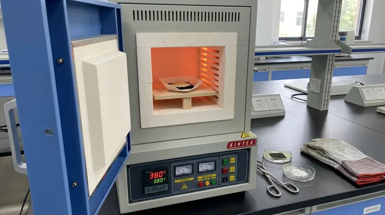 Qual é o papel de um forno mufla na formação final de um fotoanodo composto? Domine a Síntese de Heterojunções