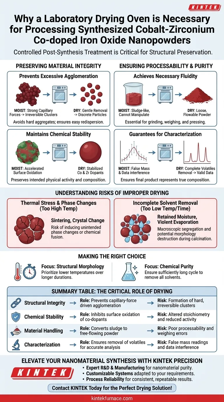 Por que um forno de secagem de laboratório é necessário para nanopós de óxido de ferro Co-Zr? Protege a integridade e a pureza do material Guia Visual
