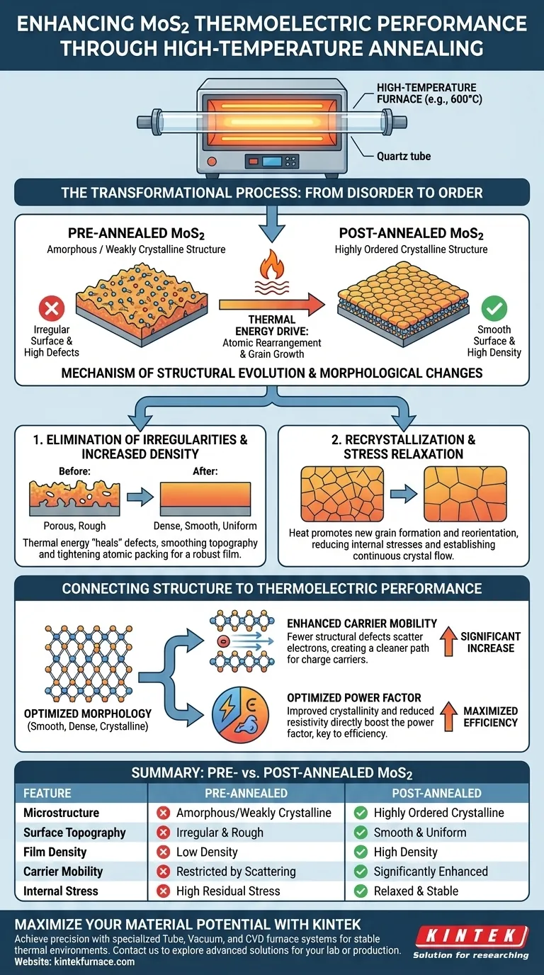 Como o processo de recozimento em um forno de alta temperatura modifica o MoS2? Otimizar o Desempenho Termoelétrico Guia Visual