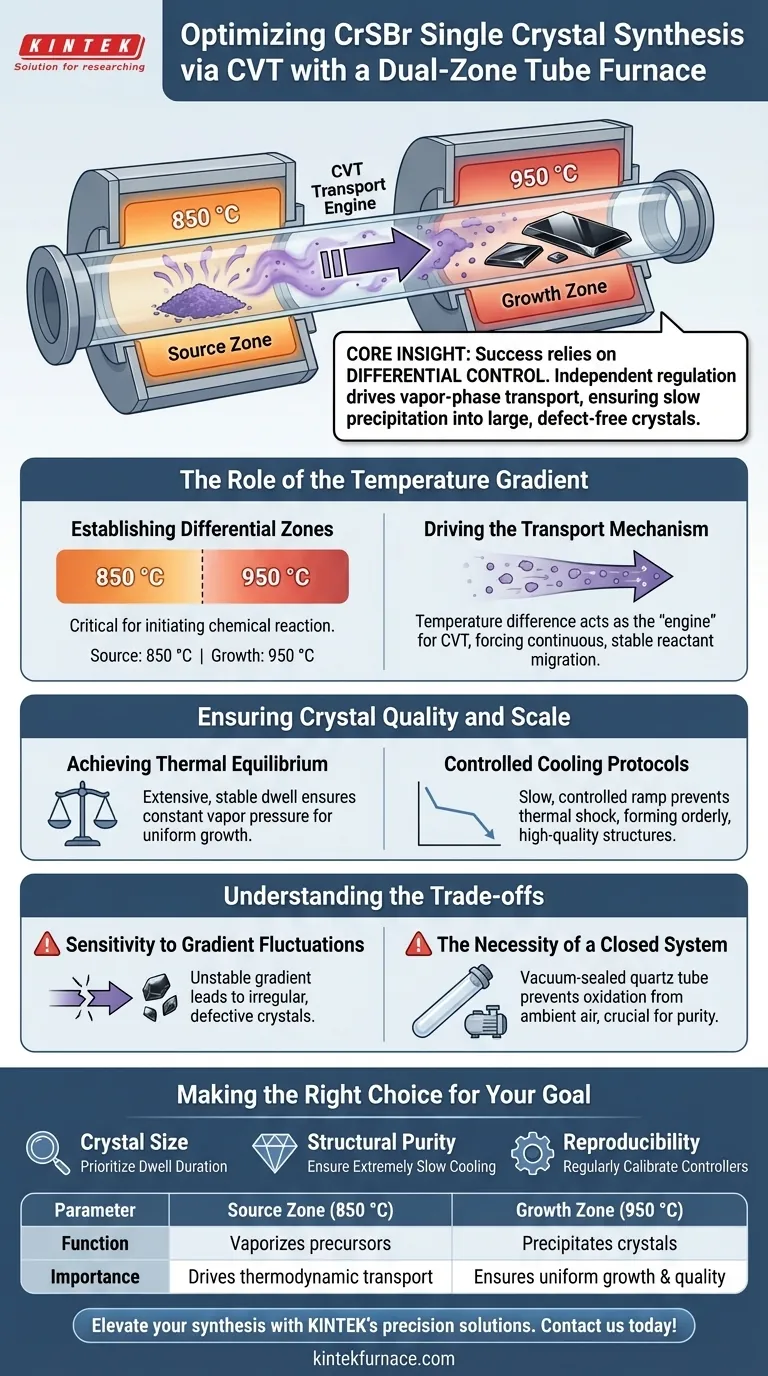 Как двухзонная трубчатая печь способствует синтезу монокристаллов CrSBr? Освоение процесса CVT Визуальное руководство
