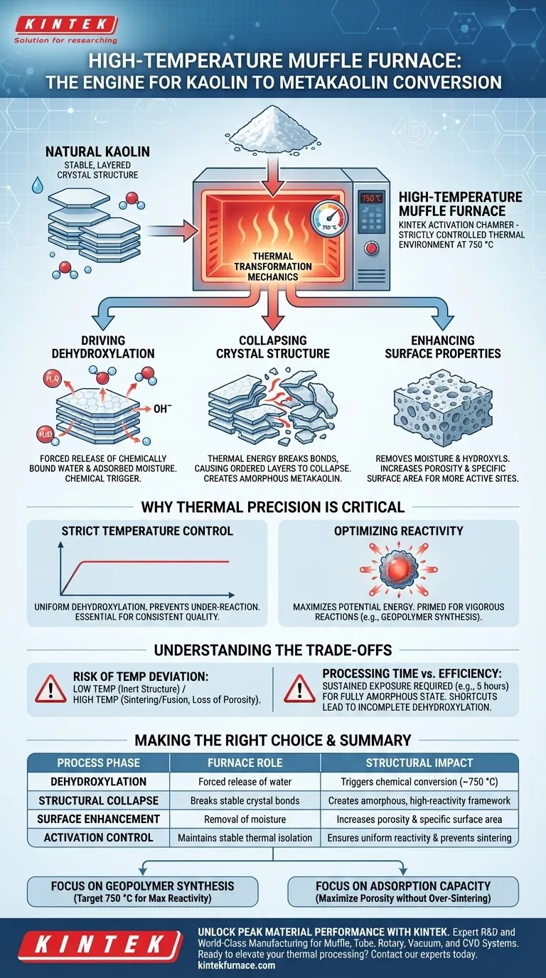 ¿Qué papel juega un horno mufla de alta temperatura en el pretratamiento de la caolinita? Lograr una activación perfecta de la metacaolinita Guía Visual