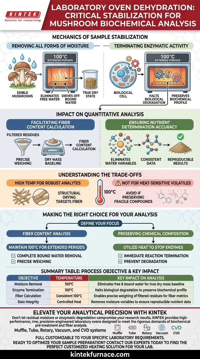 ¿Cuál es el papel de un horno de laboratorio en la deshidratación de champiñones? Dominio del pretratamiento para un análisis bioquímico preciso Guía Visual