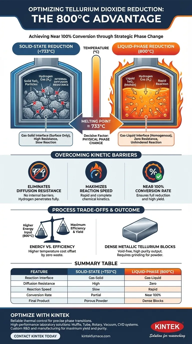 テルル二酸化物の水素還元において、800℃という温度がほぼ100％の転化率を可能にするのはなぜですか？ ビジュアルガイド