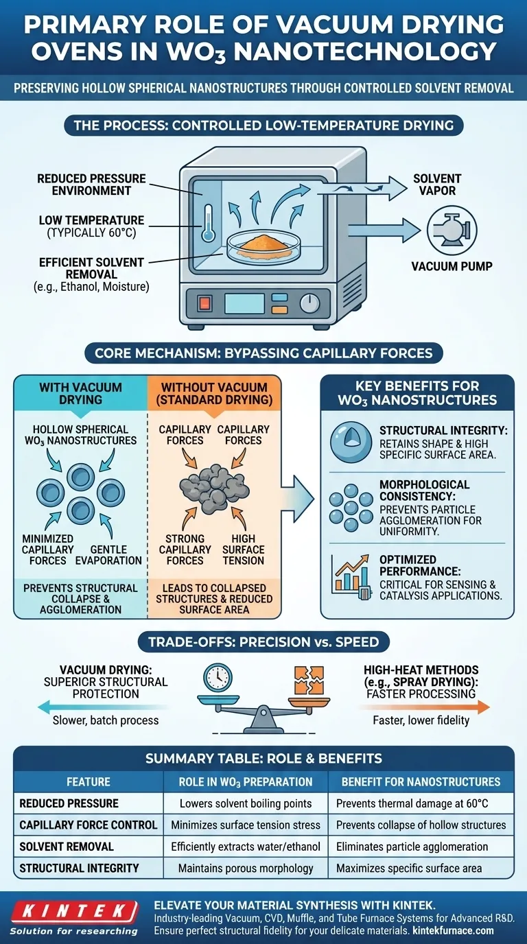 Какова основная роль вакуумной сушильной печи при подготовке наноструктур WO3? Достижение идеальной морфологии Визуальное руководство