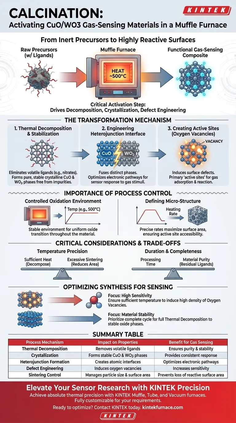 Come influisce il processo di calcinazione in un forno a muffola sui materiali sensibili ai gas CuO/WO3? Ottimizzare le prestazioni del sensore Guida Visiva