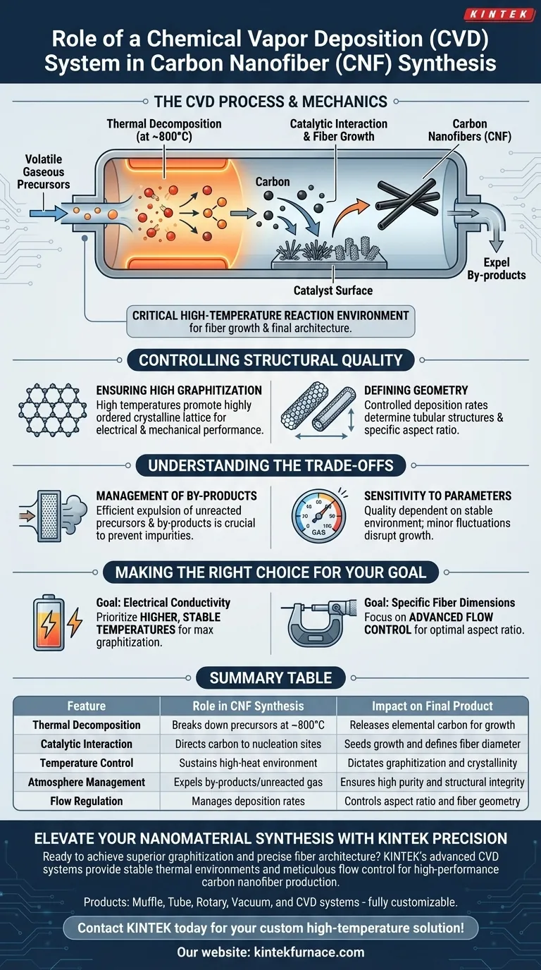 化学气相沉积（CVD）系统在碳纳米纤维（CNF）合成中的具体作用是什么？提升您的材料生长 图解指南
