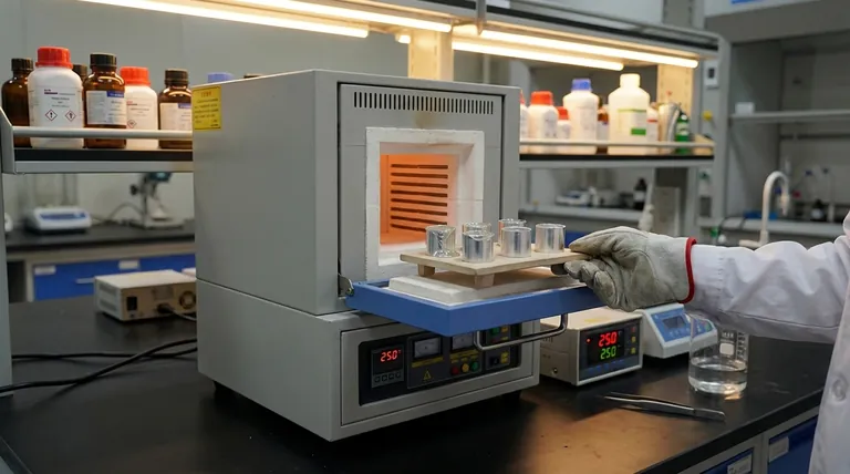 Quels sont les avantages de l'utilisation de creusets en aluminium pour la recherche sur les siloxanes ? Maximiser la précision thermique et l'exactitude des données