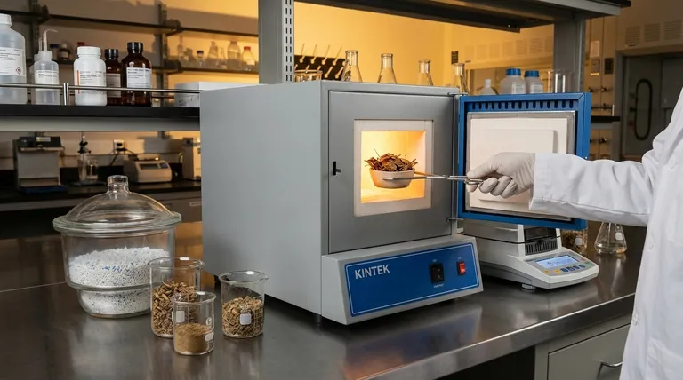 Perché è necessario asciugare accuratamente le materie prime di biomassa prima di iniziare un esperimento di pirolisi? Migliorare le rese