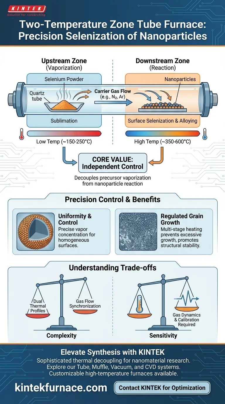 用于纳米颗粒硒化的双区管式炉的目的是什么？实现精确的蒸汽控制 图解指南