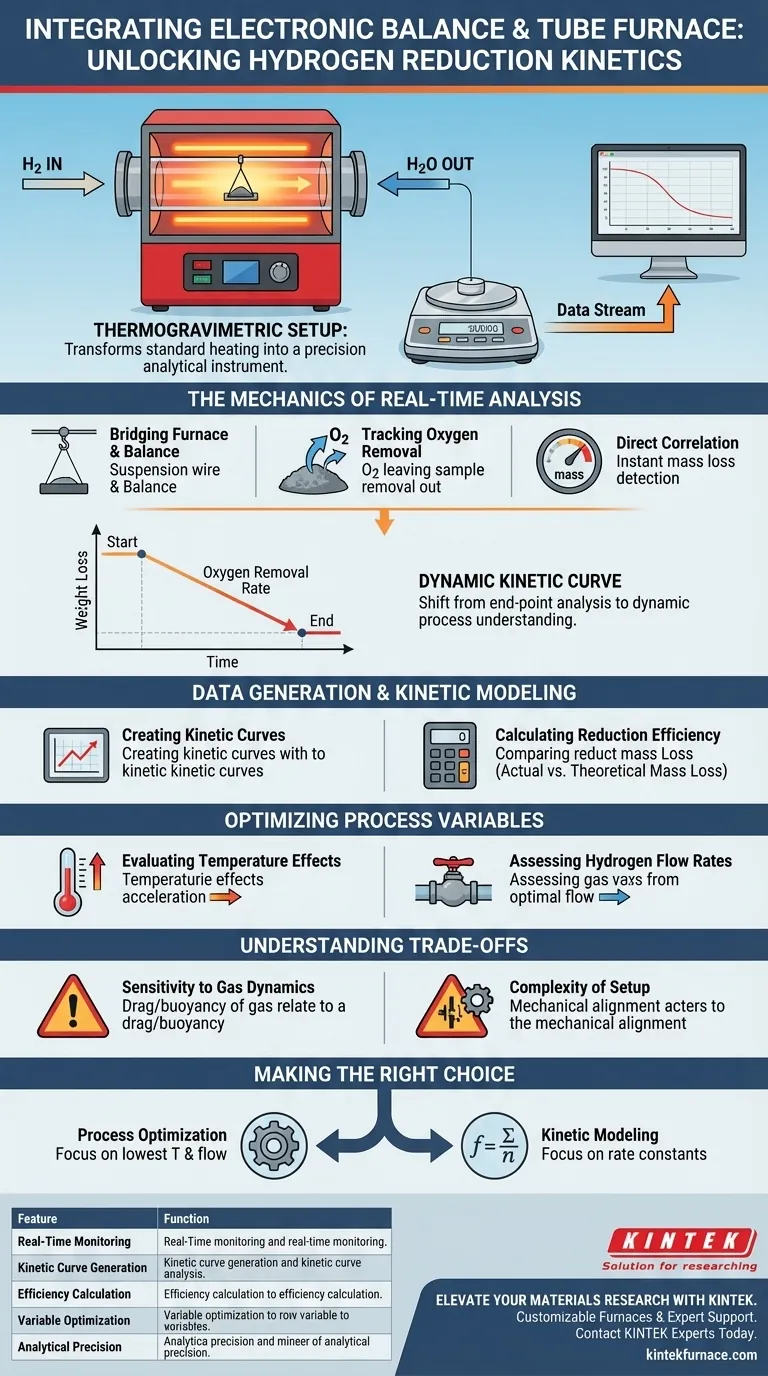Qual o papel da integração de uma balança eletrônica e um forno tubular em experimentos de redução de hidrogênio? Guia Visual