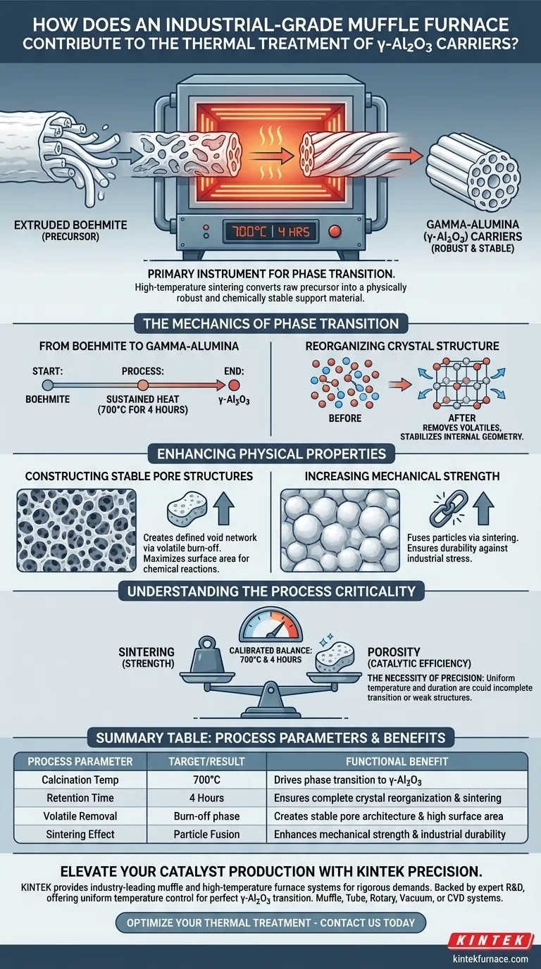 Как промышленные муфельные печи способствуют термической обработке носителей γ-Al2O3? Оптимизация фазового перехода Визуальное руководство