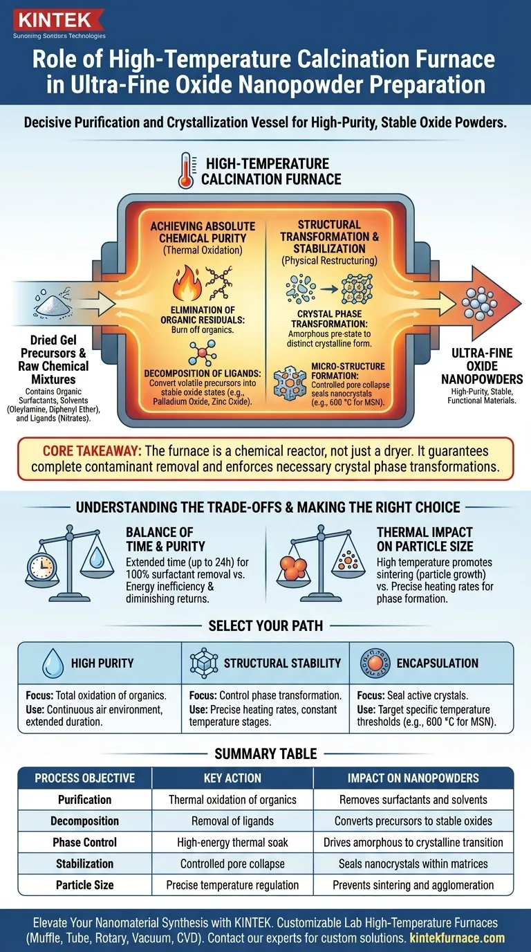 ¿Cuál es el papel de un horno de calcinación a alta temperatura en la preparación de nanopartículas de óxido ultrafinas? Master Purity Guía Visual