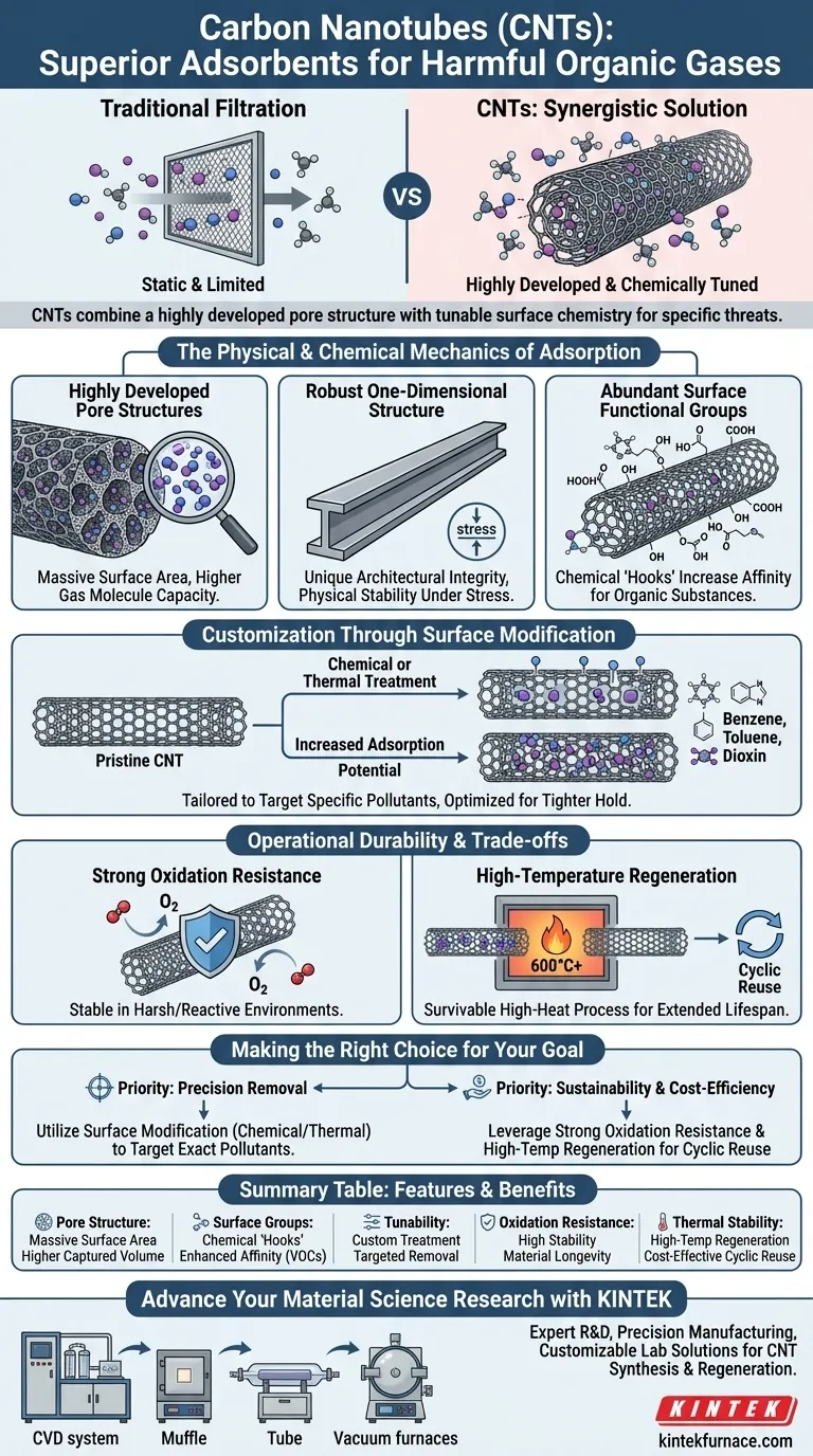 ¿Por qué los nanotubos de carbono se consideran adsorbentes superiores? Eliminación eficiente de gases orgánicos nocivos Guía Visual