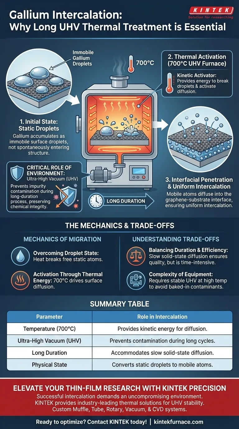 Por que um tratamento térmico de longa duração em um forno UHV é necessário para a intercalaçãode gálio? Alcançar a pureza do material Guia Visual