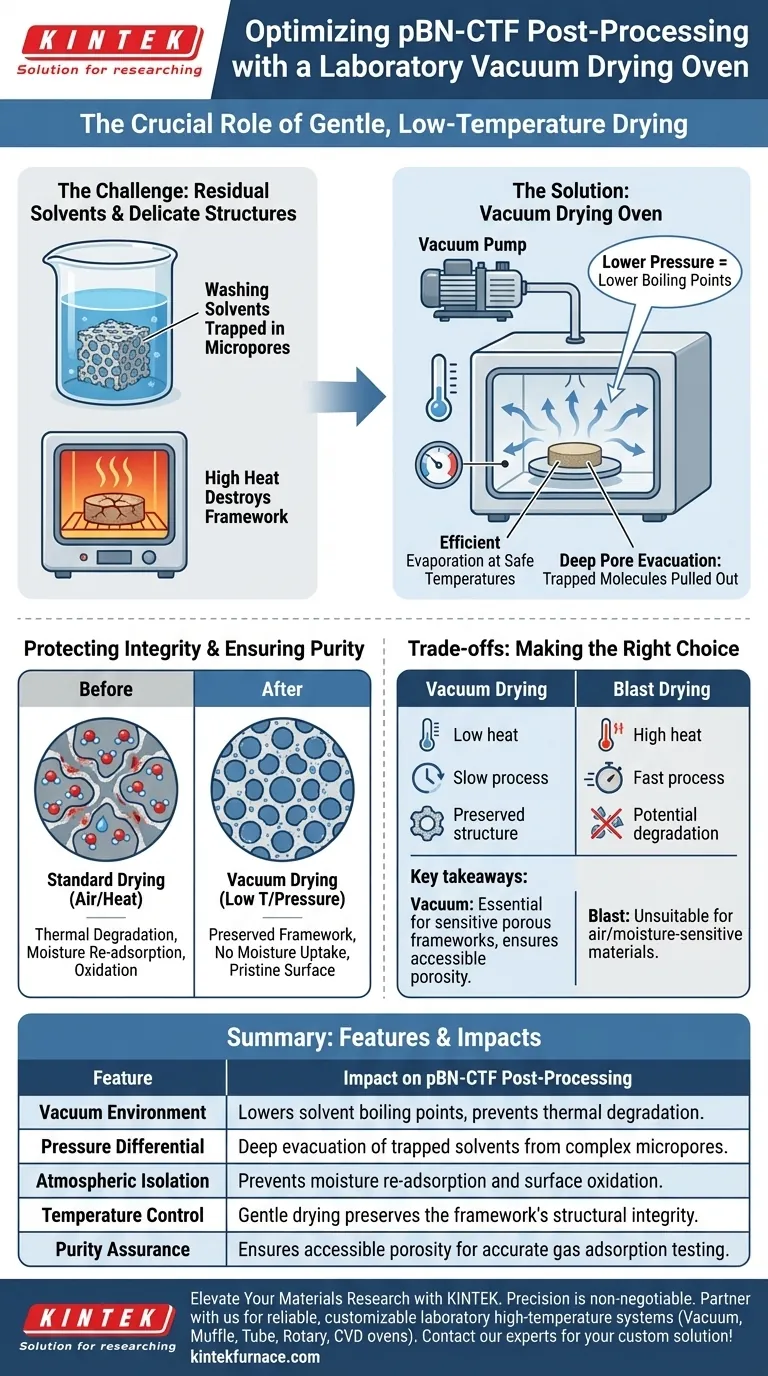 Como um forno de secagem a vácuo de laboratório contribui para a fase de pós-processamento de produtos pBN-CTF? Guia Visual