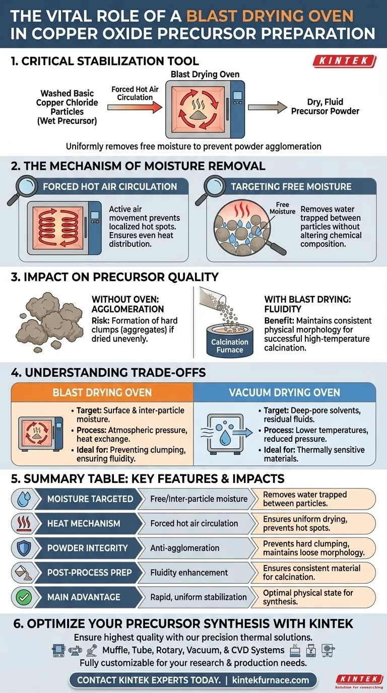Quale compito svolge un forno ad aria forzata da laboratorio nella preparazione dei precursori di ossido di rame? Prevenire l'agglomerazione Guida Visiva