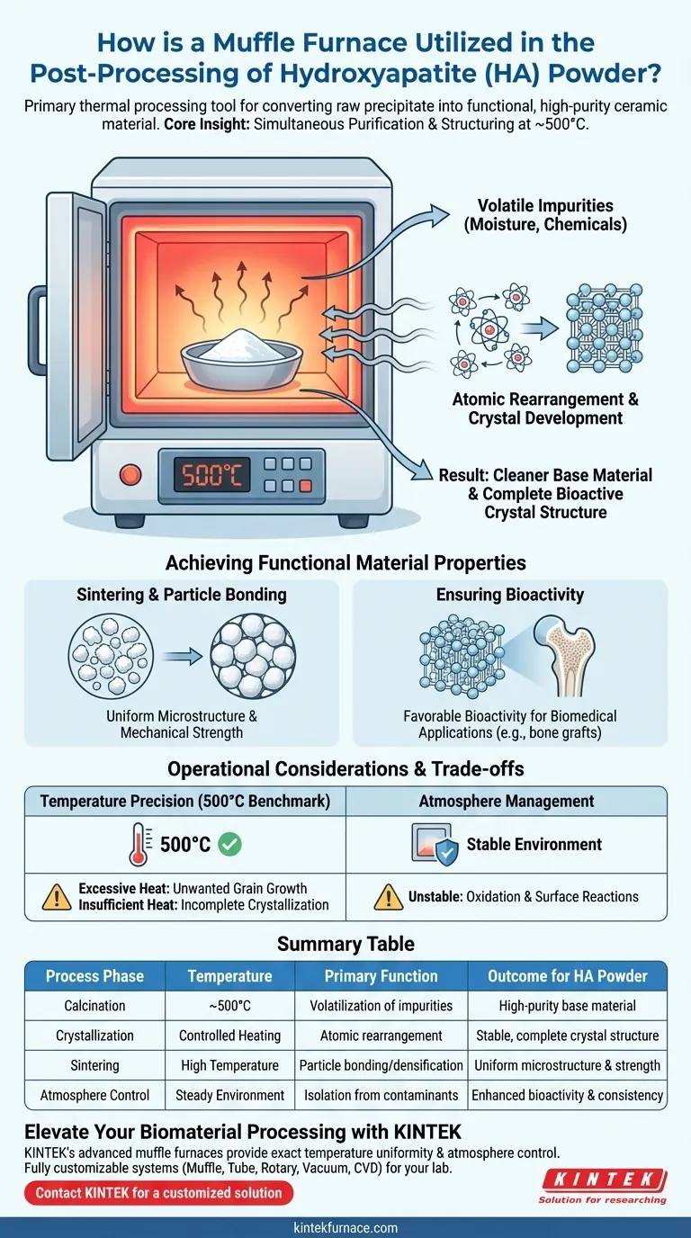 ¿Cómo se utiliza un horno mufla en el post-procesamiento del polvo de hidroxiapatita (HA)? Optimizar la pureza y la bioactividad Guía Visual