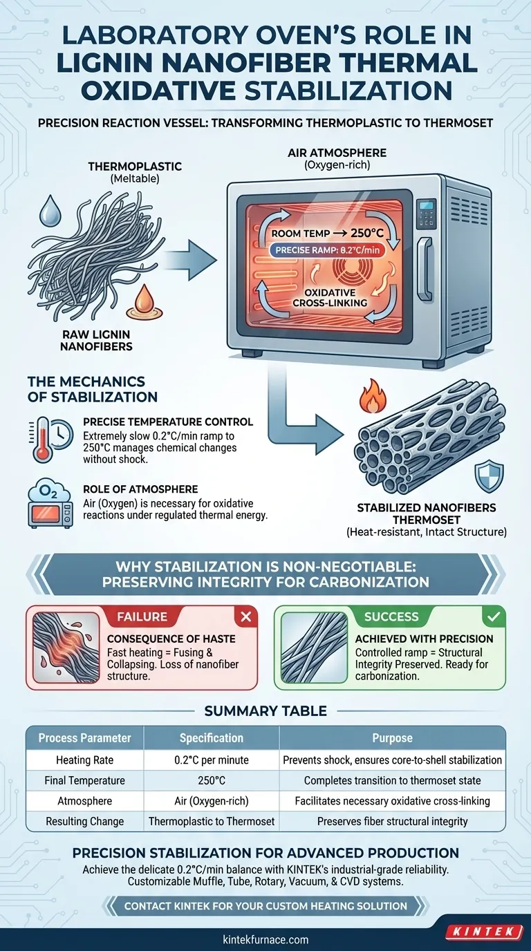 实验室烘箱在木质素纳米纤维稳定化中扮演什么角色？实现精确的热交联 图解指南