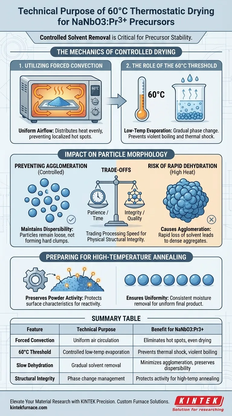 ¿Cuál es el propósito técnico del secado de precursores de NaNbO3:Pr3+ a 60 °C? Optimice la síntesis de sus polvos Guía Visual