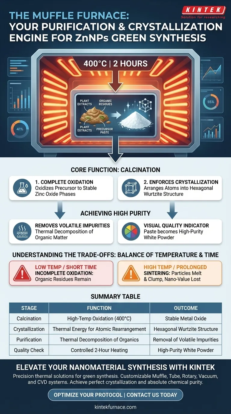 在ZnNPs合成中，马弗炉的作用是什么？实现纯净、结晶的氧化锌 图解指南