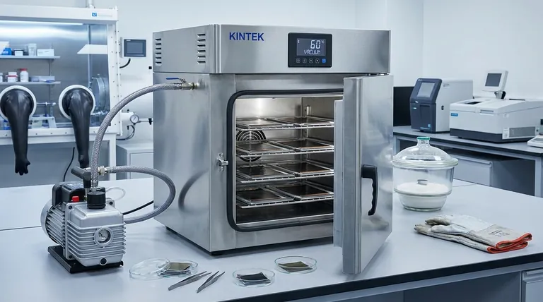 Perché è richiesto un forno di essiccazione sotto vuoto per gli elettrodi delle batterie litio-zolfo? Garantire risultati di test ad alta purezza