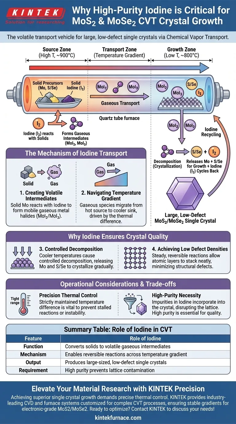 MoS2 및 MoSe2 성장 시 고순도 요오드가 운반제로 사용되는 이유는 무엇인가요? CVT 결정 성장 마스터하기 시각적 가이드