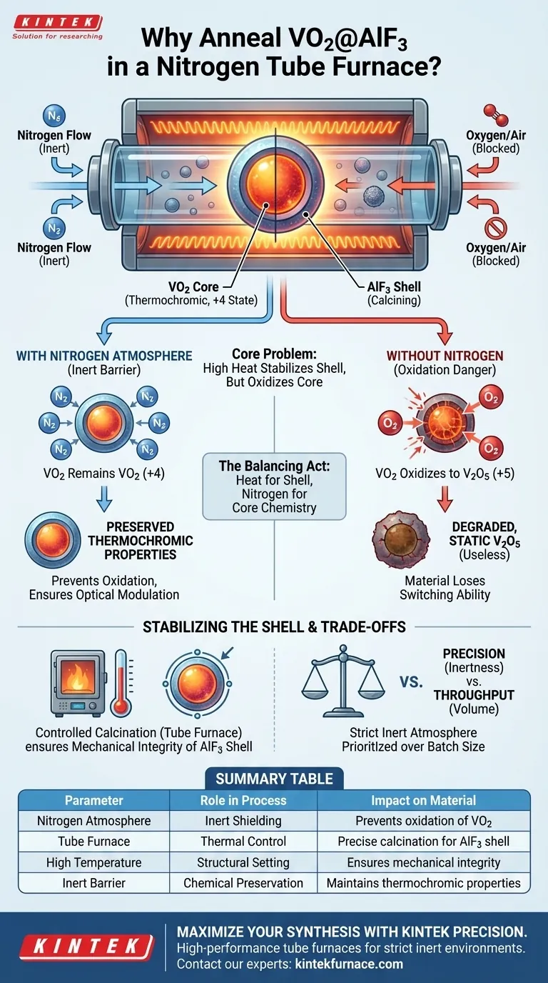 ¿Por qué es necesario realizar el recocido en un horno tubular con atmósfera de nitrógeno para el polvo de núcleo-cáscara de VO2@AlF3? Guía Visual