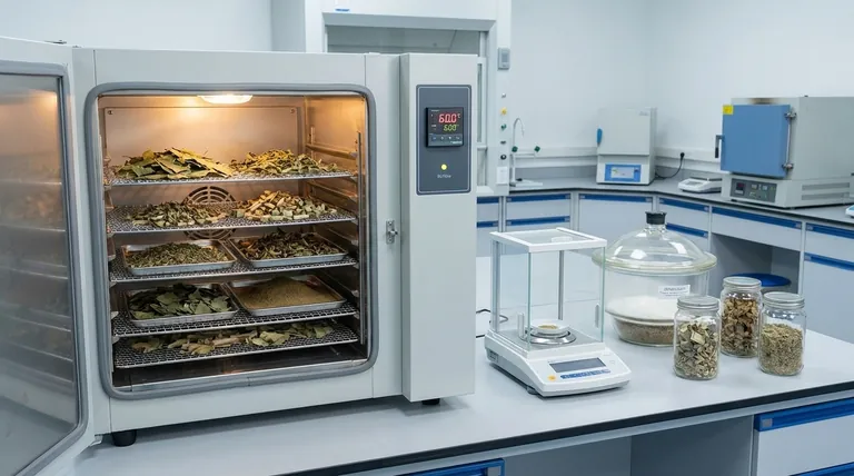 ما هي الوظيفة الأساسية لفرن الحمل القسري في تحضير عينات النبات؟ ضمان دقة البيانات في كل مرة