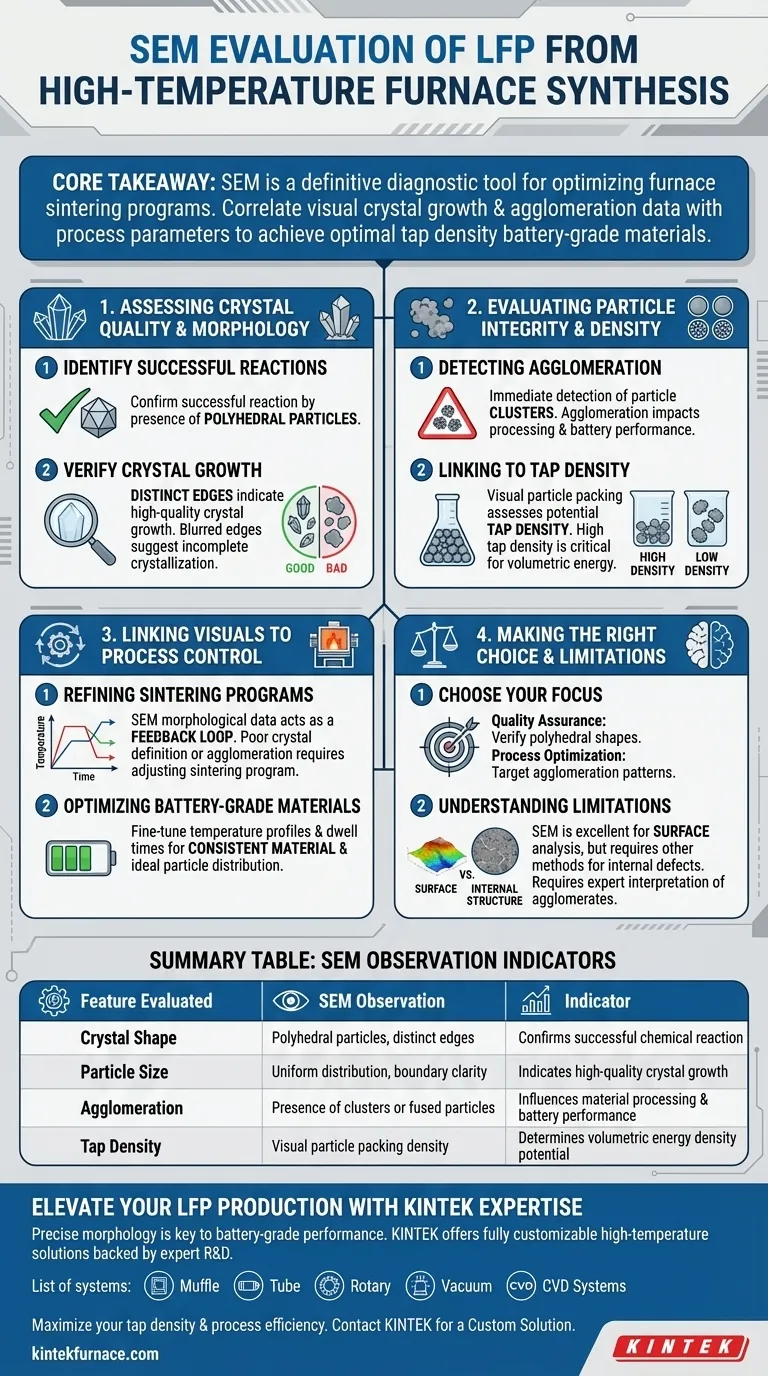 SEMはLFP合成にどのような具体的な情報を提供しますか？バッテリーグレードの品質管理をマスターする ビジュアルガイド