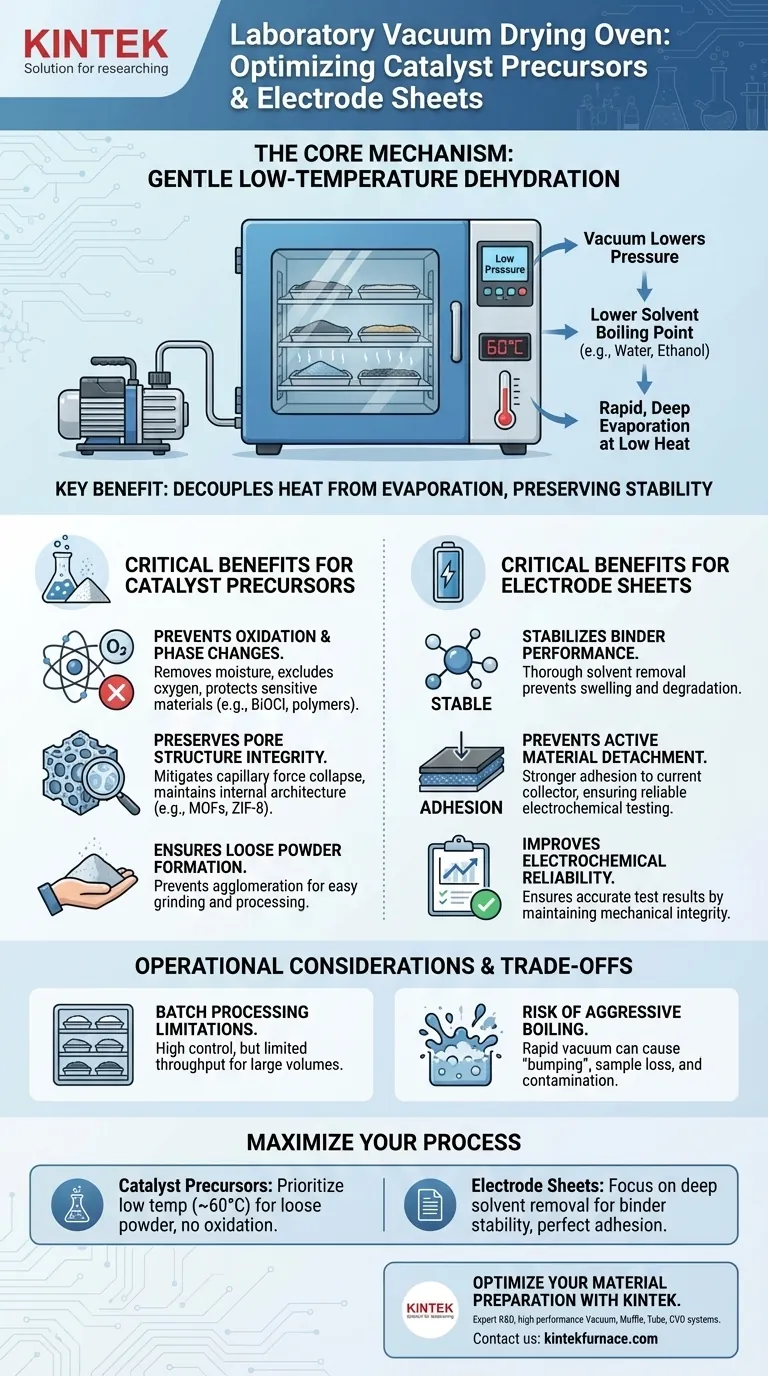 实验室真空干燥箱在催化剂和电极处理中的作用是什么？确保材料完整性 图解指南